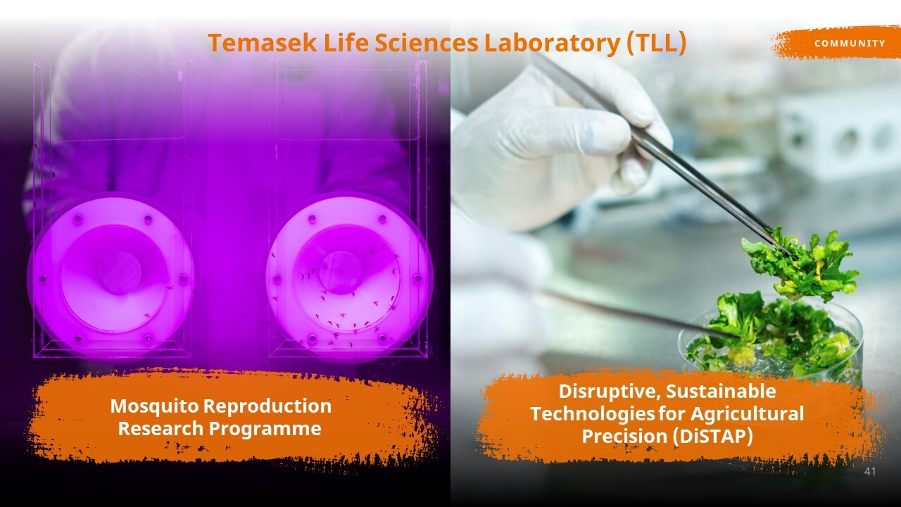 Transcript Temasek Review 2022 Media Conference Temasek